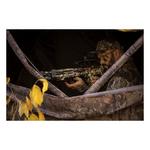 Wicked Ridge Invader M1 ACUdraw Crossbow - Thumbnail 5 of 7