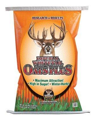 Imperial Whitetail Oats Plus