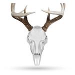 Illusion Outdoors Skull Master European Mount Single Kit - Thumbnail 1 of 6