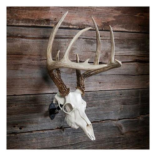 Illusion Outdoors Skull Master European Mount Single Kit - Primary Image