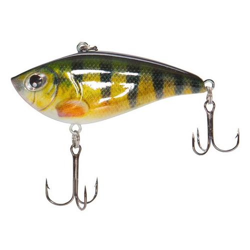 Scheels Outfitters FatEye Rattle Bait Lure