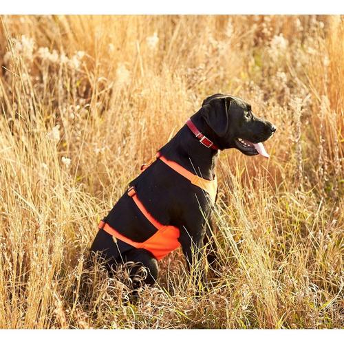 Mendota Pet Skid Plate Dog Vest - Primary Image