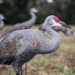Big Al's Sandhill Crane Silhouette Decoys - Thumbnail 3 of 5