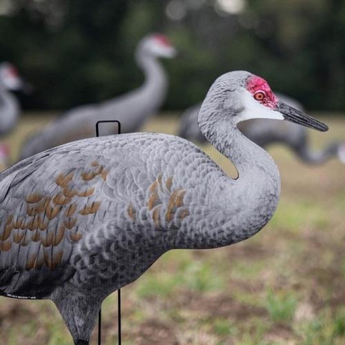 Big Al's Sandhill Crane Silhouette Decoys - Primary Image