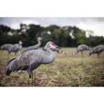 Big Al's Sandhill Crane Silhouette Decoys - Thumbnail 4 of 5