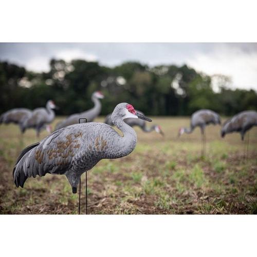 Big Al's Sandhill Crane Silhouette Decoys - Primary Image