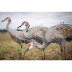 Big Al's Sandhill Crane Silhouette Decoys - Thumbnail 5 of 5
