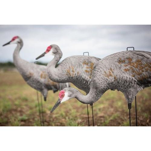 Big Al's Sandhill Crane Silhouette Decoys - Primary Image