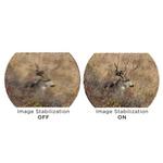 SIG SAUER OSCAR6 HDX PRO Image Stabilized Spotting Scope - Thumbnail 8 of 17