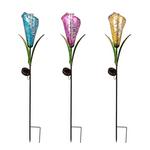 Evergreen Enterprise 36" Fiber Optic Solar Rain Gauge Garden Stake (Color May Vary) - Thumbnail 1 of 5