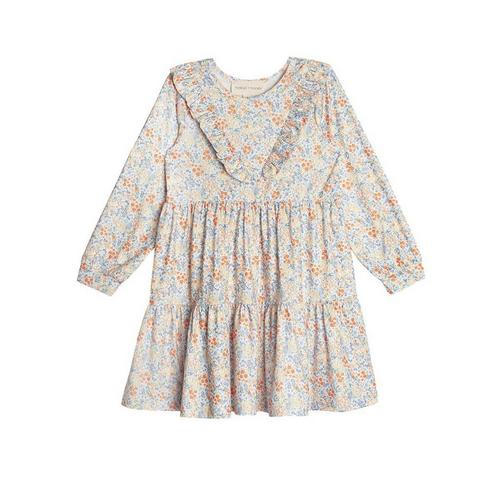 Girls' Mabel + Honey Darling Orchard Long Sleeve Babydoll Dress - Primary Image