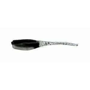 Tennessee Shad - Scheels Outfitters Crappie Minnow