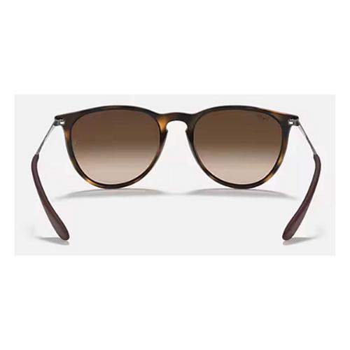 Ray-Ban Erika Classic Sunglasses - Primary Image