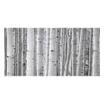 Rocky Mountain Publishing Aspen White Canvas - Thumbnail 1 of 3