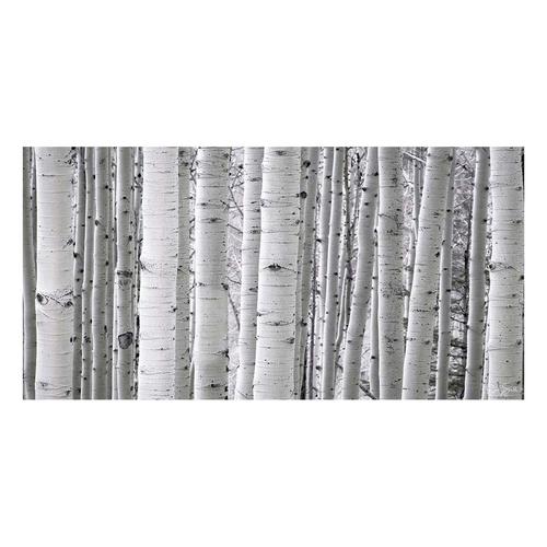 Rocky Mountain Publishing Aspen White Canvas - Primary Image
