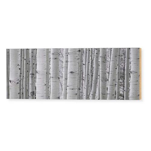 Rocky Mountain Publishing Aspen White Canvas - Primary Image