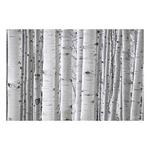 Rocky Mountain Publishing Aspen White Canvas - Thumbnail 3 of 3