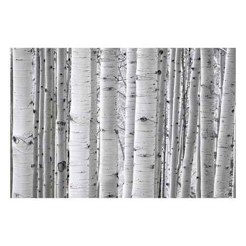Rocky Mountain Publishing Aspen White Canvas - Primary Image