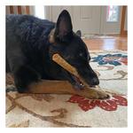 Nothin' To Hide Beef Roll Rawhide Alternative Dog Chew - Thumbnail 3 of 3