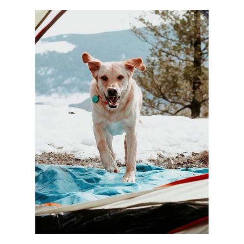 Rumpl Everywhere Mat - Primary Image