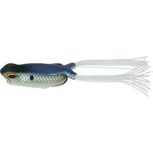 Shad Spawn - 6th Sense Fishing Vega Frog