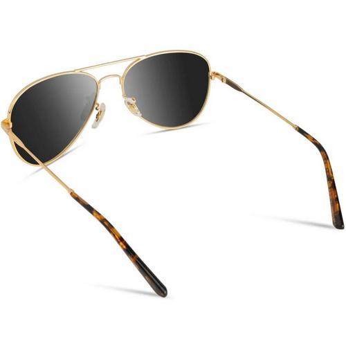 WMP Maxwell Polarized Sunglasses - Primary Image