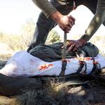 Eberlestock Vapor 2500 Pack - Thumbnail 3 of 4