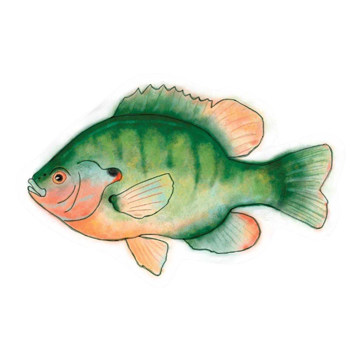 MN Nice Enough Sunfish Sticker Sticker