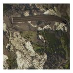 Men's Scheels Outfitters Lightweight Musselshell Pants - Thumbnail 6 of 6