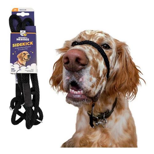 Heather's Heroes The Sidekick Dog Lead - Primary Image