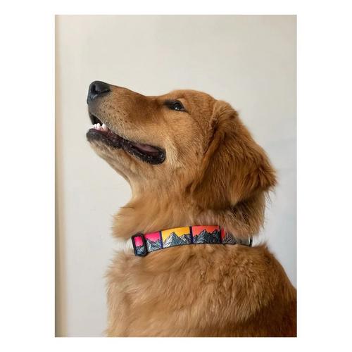 MTN Straps Idaho 9 Dog Collar - Primary Image
