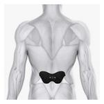 Chirp Halo Lower Back Pads - Thumbnail 3 of 3