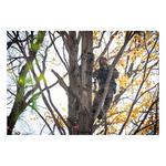 Men's TUO Nivor Bibs - Thumbnail 6 of 15