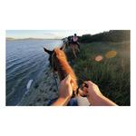 GoPro Head Strap 2.0 Camera Mount - Thumbnail 9 of 9