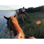 GoPro Head Strap 2.0 Mount - Thumbnail 6 of 6