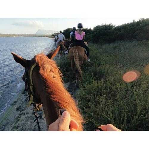 GoPro Head Strap 2.0 Mount - Primary Image