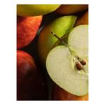 Pura Car Oil Refill - Thumbnail 2 of 4