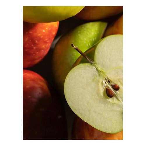 Pura Car Oil Refill - Primary Image