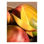 Pura Diffuser Refill - Thumbnail 3 of 4