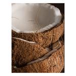 Pura Diffuser V4 Starter Kit - Thumbnail 5 of 6