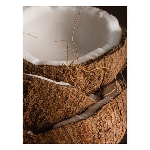 Pura Diffuser V4 Starter Kit - Primary Image