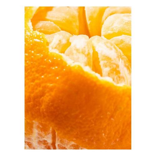 Pura Diffuser V4 Starter Kit - Primary Image