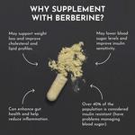 Just Ingredients Berberine Supplement - Thumbnail 4 of 7