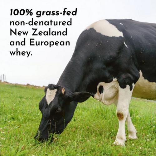 Just Ingredients Protein Powder - Primary Image