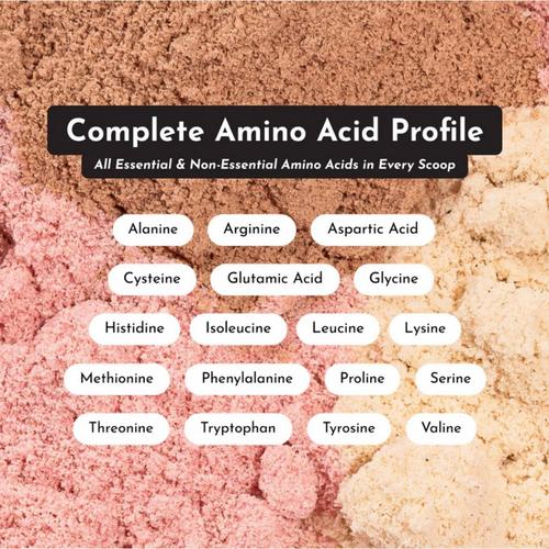 Just Ingredients Protein Powder - Primary Image