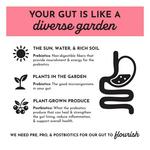 Just Ingredients Probiotic Complex for Kids - Thumbnail 6 of 9