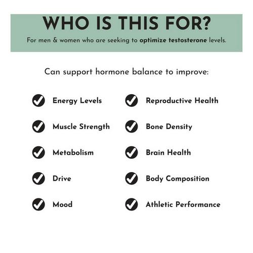 Just Ingredients Testosterone Balance - Primary Image