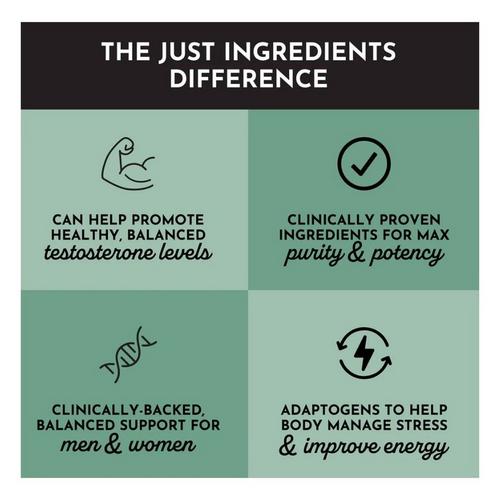Just Ingredients Testosterone Balance - Primary Image