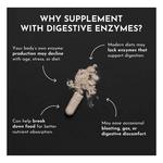 Just Ingredients Digestive Enzyme - Thumbnail 7 of 7