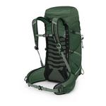 Osprey Talon 33 Backpacking Backpack - Thumbnail 2 of 7